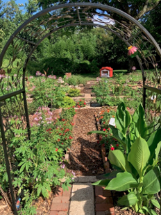 The side entrance to the reading garden, with the Little Free Library kiosk in the background